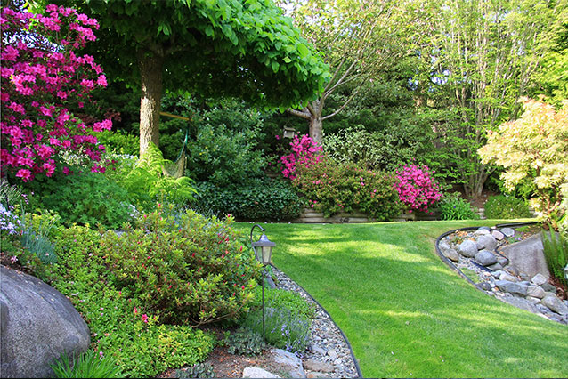 Gartenpflege Naturpool Bepflanzung Hecke Hohenahr