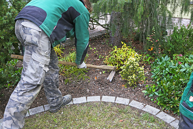 Gartenpflege Baumschnitt Strauchschnitt Düngen Gladenbach