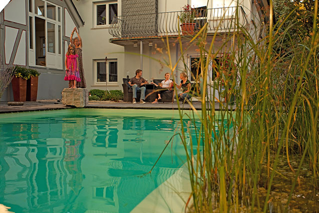 Schwimmteich Hecke Bepflanzung Marburg Hohenahr